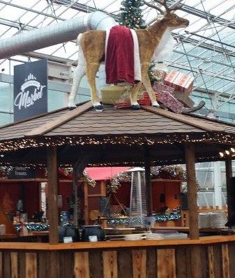 Silverdale Bents Garden Centre (9)