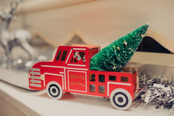 (12of92)SilverdaleBoroughCareXMASparty-ChelseaShoesmithPhotography_